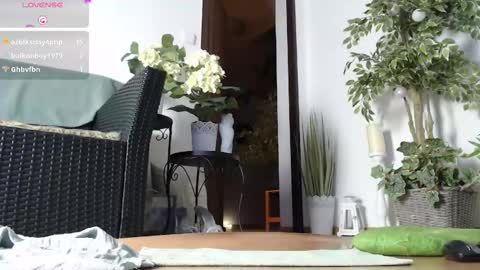 Monica online show from 01/17/25, 06:04