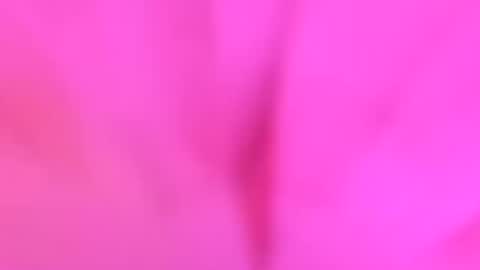 YourdirtysecretxMae online show from 07/26/26, 03:58