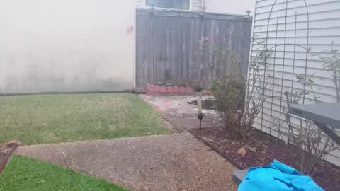 Snapshot of srtxshow chatting on 02/05/25, 03:20 srtxshow online show from 02/05/25, 03:20