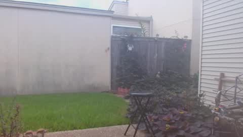 Snapshot of srtxshow chatting on 09/23/25, 07:06 srtxshow online show from 09/23/25, 07:06