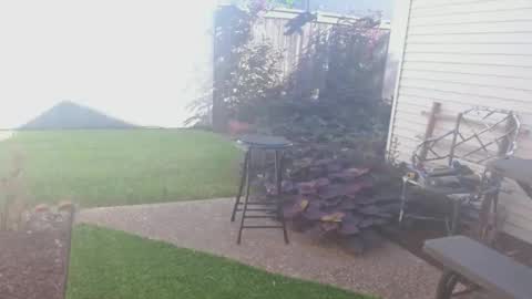 Snapshot of srtxshow chatting on 09/26/25, 02:43 srtxshow online show from 09/26/25, 02:43