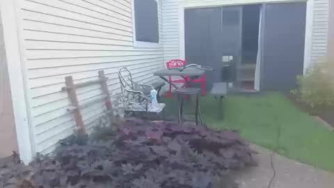 Snapshot of srtxshow chatting on 10/20/25, 12:49 srtxshow online show from 10/20/25, 12:49