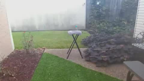 Snapshot of srtxshow chatting on 10/21/25, 02:07 srtxshow online show from 10/21/25, 02:07