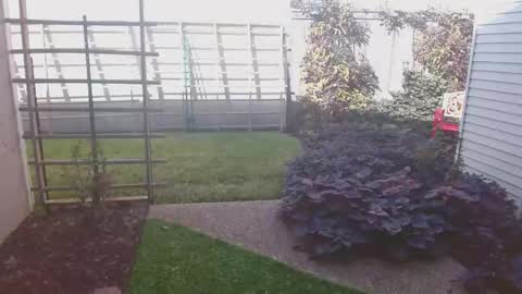 Snapshot of srtxshow chatting on 11/16/25, 08:47 srtxshow online show from 11/16/25, 08:47