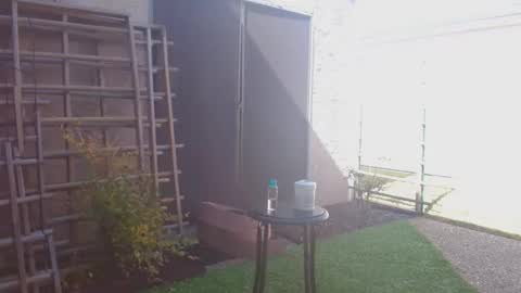 Snapshot of srtxshow chatting on 02/07/26, 06:00 srtxshow online show from 02/07/26, 06:00