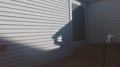 Snapshot of srtxshow chatting on 02/09/26, 03:16 srtxshow online show from 02/09/26, 03:16