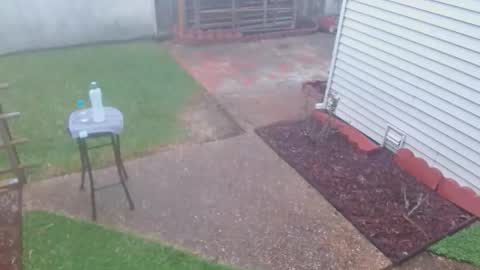 Snapshot of srtxshow chatting on 03/08/26, 10:13 srtxshow online show from 03/08/26, 10:13