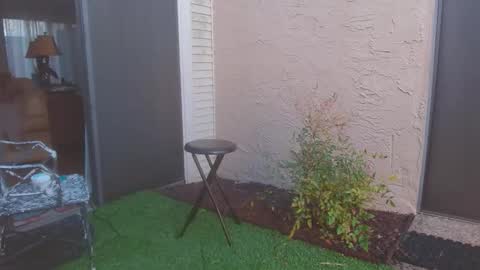 Snapshot of srtxshow chatting on 03/13/26, 11:33 srtxshow online show from 03/13/26, 11:33