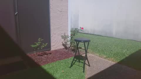 Snapshot of srtxshow chatting on 03/14/26, 04:34 srtxshow online show from 03/14/26, 04:34