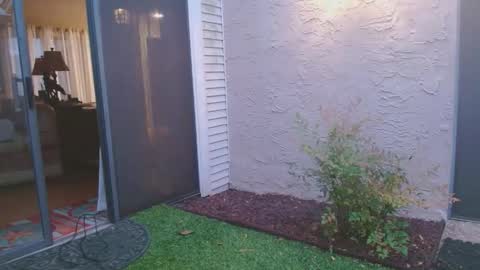 Snapshot of srtxshow chatting on 04/04/26, 12:02 srtxshow online show from 04/04/26, 12:02