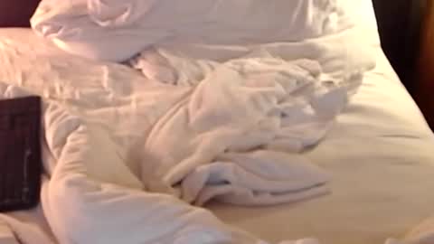 st8llion online show from 01/11/25, 02:41