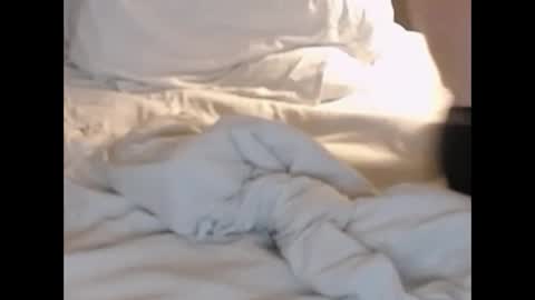 st8llion online show from 02/27/25, 01:38