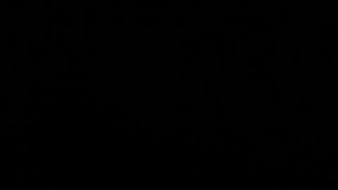 Stacy  online show from 11/08/25, 11:21