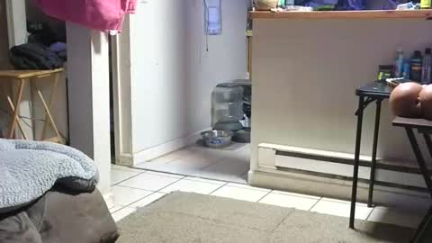 Submissive Slut LOVES adoration online show from 10/23/25, 04:23