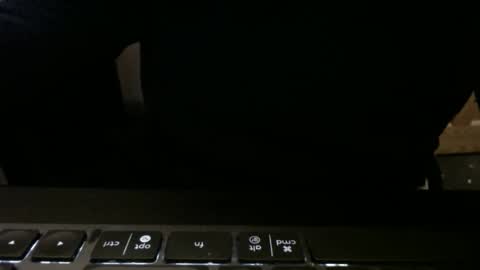 stargazer1069 online show from 11/13/25, 09:52