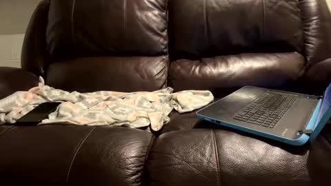 Snapshot of starr3095 chatting on 01/09/25, 06:06 starr3095 online show from 01/09/25, 06:06