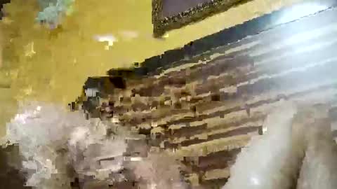 stchelly627 online show from 03/08/26, 06:28