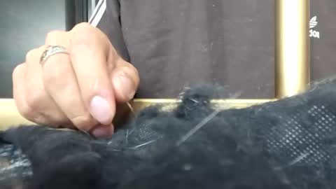 Katalleya and Steban online show from 01/11/25, 05:31