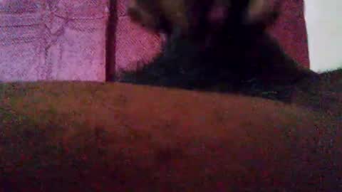 stebel666185 online show from 09/22/25, 01:24