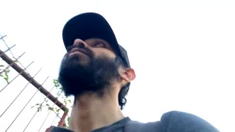 Lobo del Antiguo Oriente online show from 03/19/26, 10:14