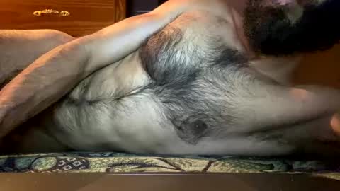 Lobo del Antiguo Oriente online show from 04/06/26, 01:25