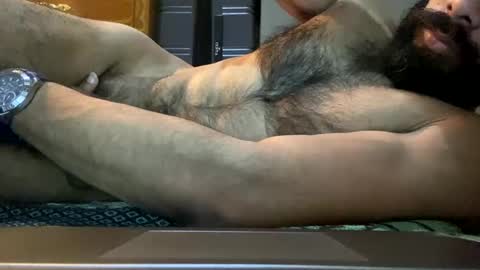 Lobo del Antiguo Oriente online show from 04/16/26, 02:56