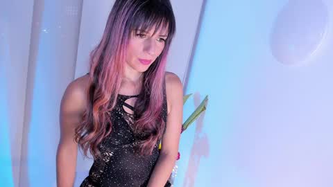 Steffy online show from 12/17/24, 04:34