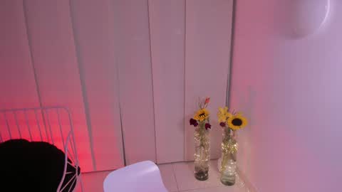 Steffy online show from 02/05/25, 03:34