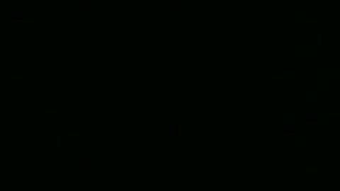 steflab online show from 02/24/26, 10:57