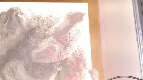 S T E L L A online show from 02/28/26, 11:06