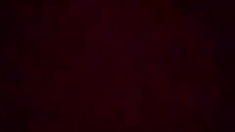 Stella Bella online show from 08/06/26, 04:14