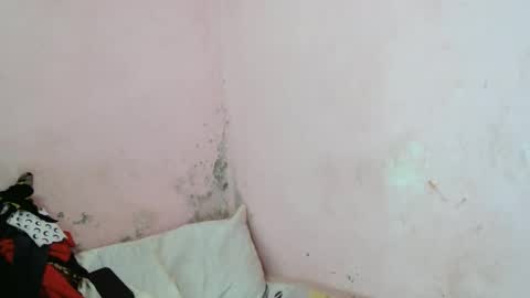 stellah2555 online show from 03/11/26, 09:26