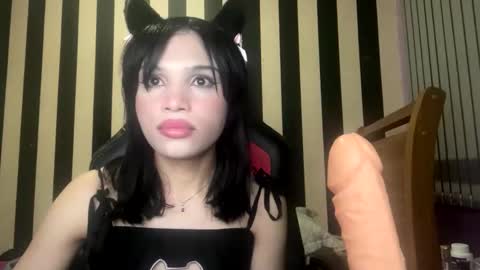 stellapapillon online show from 02/10/26, 11:31