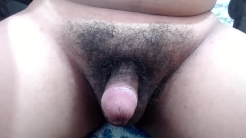 Snapshot of stellaven chatting on 12/13/24, 06:53 Stellaven online show from 12/13/24, 06:53