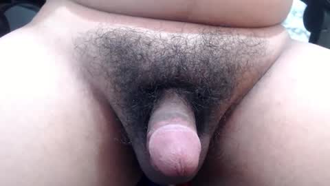 Snapshot of stellaven chatting on 01/24/25, 10:11 Stellaven online show from 01/24/25, 10:11