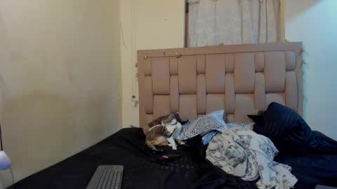 Stepcouple   online show from 01/07/26, 11:51