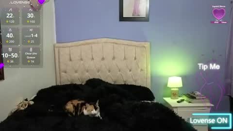 Stephania online show from 06/11/26, 02:11