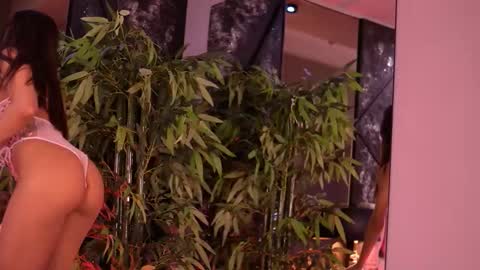 Steph online show from 01/13/26, 08:08