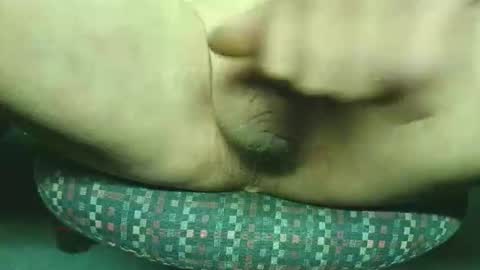 steri8888 online show from 11/24/25, 08:41