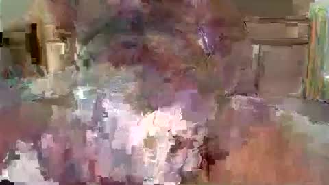 steveconrad123 online show from 02/02/26, 11:31