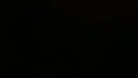 stevennsucculent online show from 09/27/25, 05:51