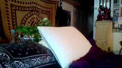 Snapshot of steviehard7 chatting on 02/12/25, 05:15 steviehard7 online show from 02/12/25, 05:15