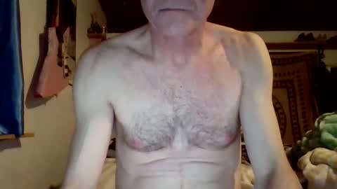 Snapshot of steviehard7 chatting on 03/08/25, 04:56 steviehard7 online show from 03/08/25, 04:56