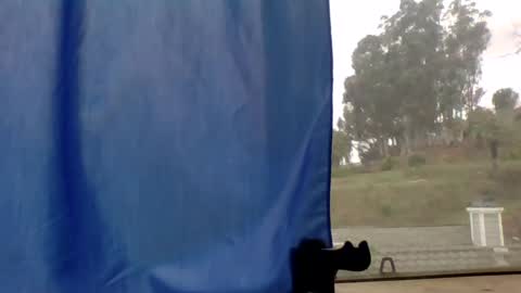 Snapshot of steviehard7 chatting on 03/11/25, 04:51 steviehard7 online show from 03/11/25, 04:51