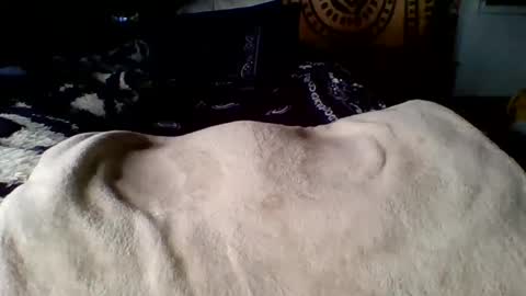 Snapshot of steviehard7 chatting on 03/12/25, 04:02 steviehard7 online show from 03/12/25, 04:02