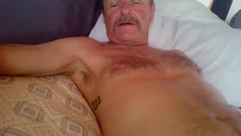 Snapshot of steviehard7 chatting on 10/02/25, 10:50 steviehard7 online show from 10/02/25, 10:50