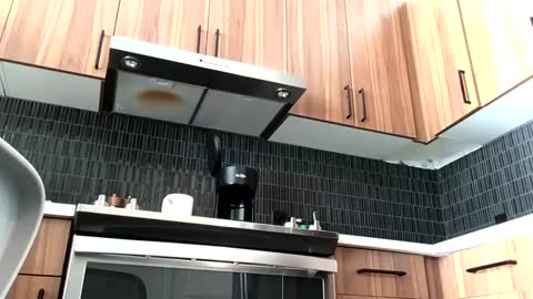 stlhotwifeguy online show from 02/14/25, 03:36