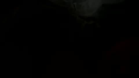 Snapshot of stockungs chatting on 02/14/25, 10:38 stockungs online show from 02/14/25, 10:38