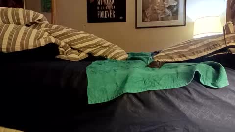 stoppageflo45662 online show from 10/24/25, 10:55