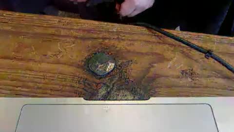 strap1on212 online show from 04/12/26, 05:18